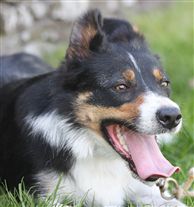 Click for large image