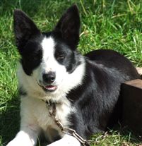 Click for large image