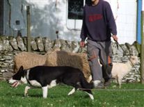 Click for large image