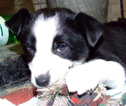 Click for large image