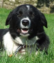 Click for large image