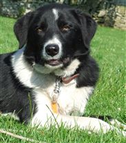 Click for large image