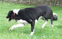 Click for large image