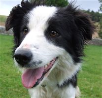 Click for large image