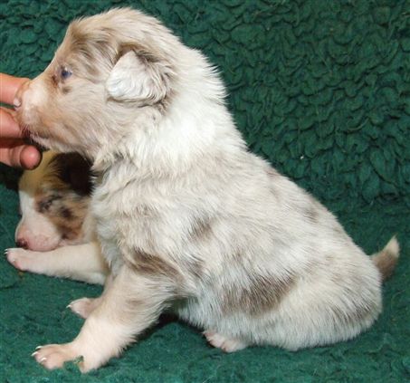 Click for large image