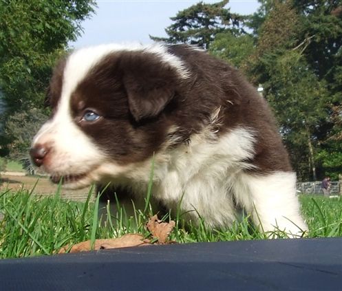 Click for large image