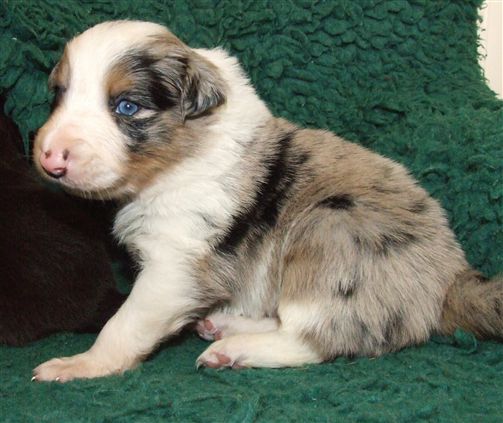 Click for large image