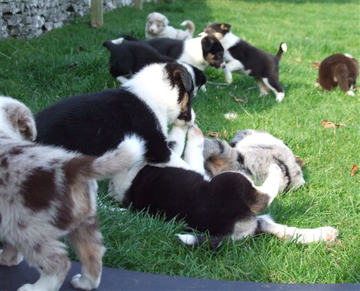 Click for large image