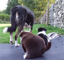 Click for large image