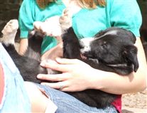 Click for large image