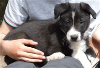 Click for large image