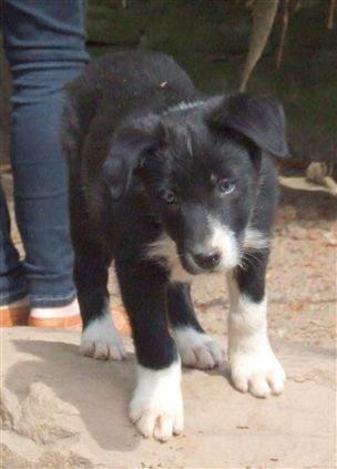 Click for large image