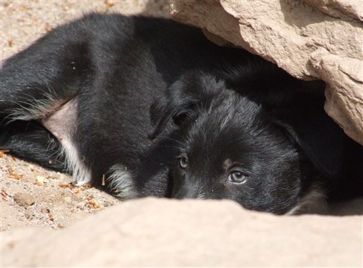 Click for large image