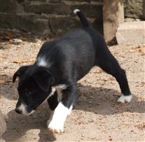 Click for large image