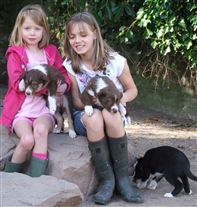 Click for large image