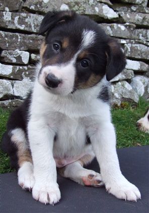 Click for large image