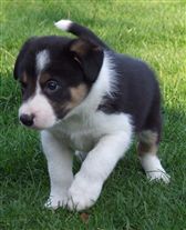 Click for large image