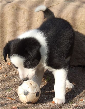 Click for large image