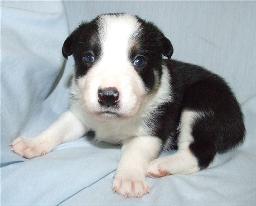 Click for large image