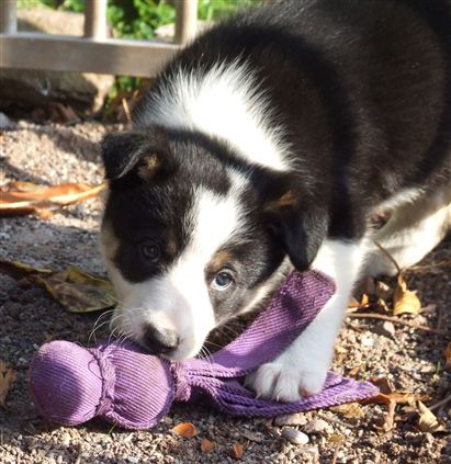 Click for large image