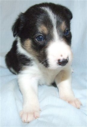 Click for large image