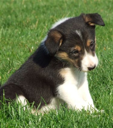 Click for large image