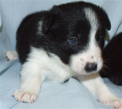 Click for large image