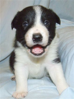 Click for large image