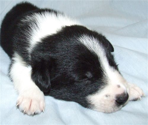 Click for large image