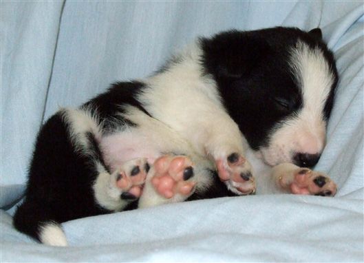 Click for large image