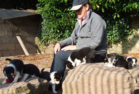 Click for large image