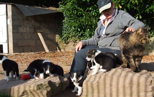 Click for large image