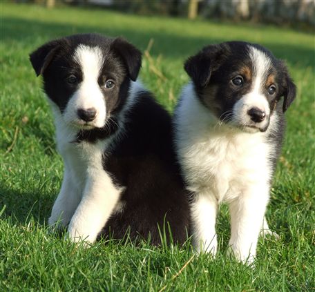 Click for large image