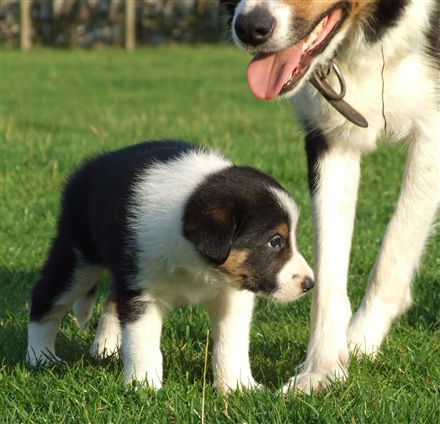 Click for large image