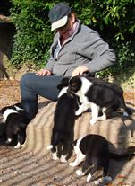 Click for large image