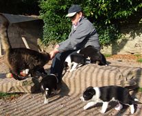 Click for large image