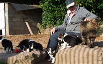 Click for large image