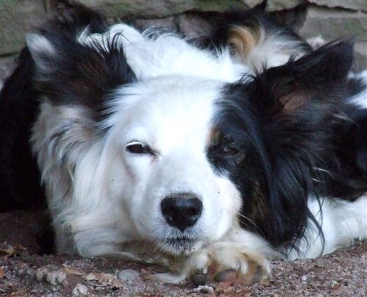 Click for large image