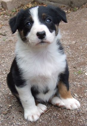 Click for large image