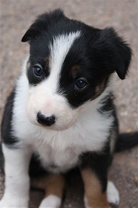 Click for large image