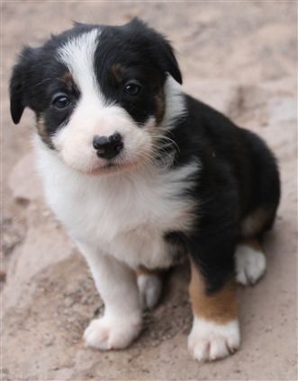 Click for large image