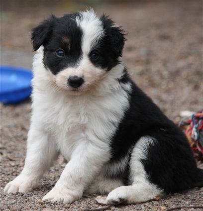 Click for large image