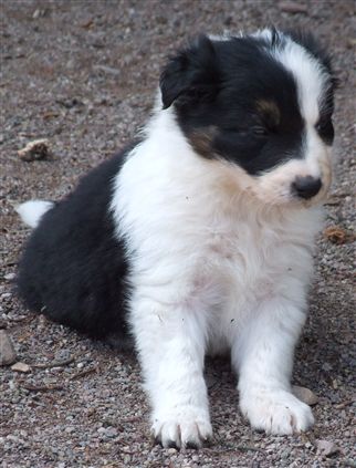 Click for large image