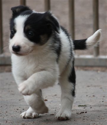 Click for large image