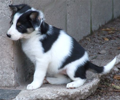 Click for large image