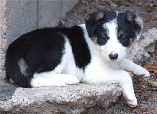 Click for large image