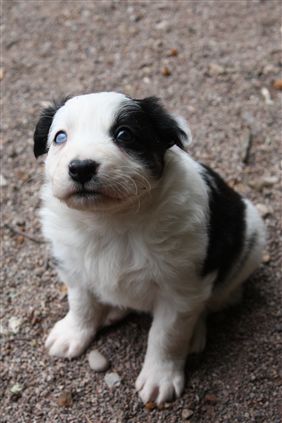 Click for large image