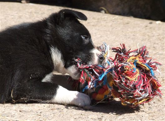 Click for large image