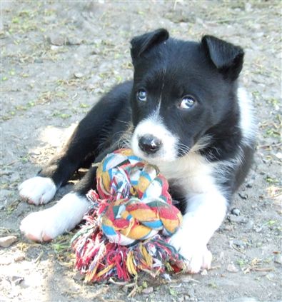 Click for large image