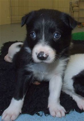 Click for large image